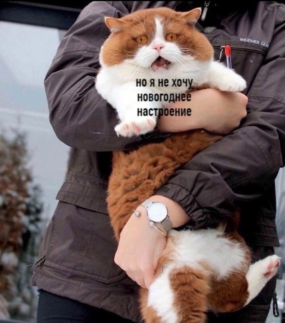 Новый год совсем скоро!!!Хочу поделиться весельем.