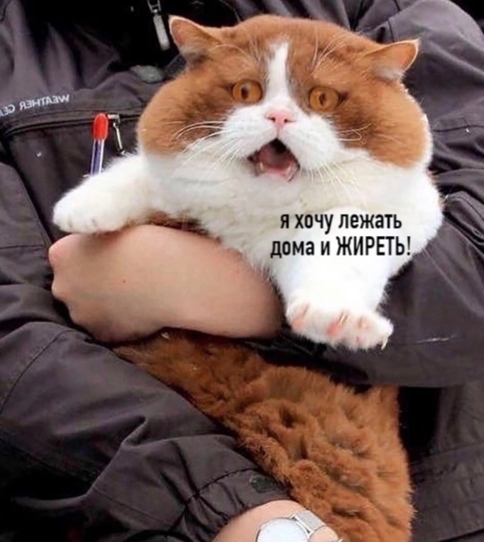 Новый год совсем скоро!!!Хочу поделиться весельем.