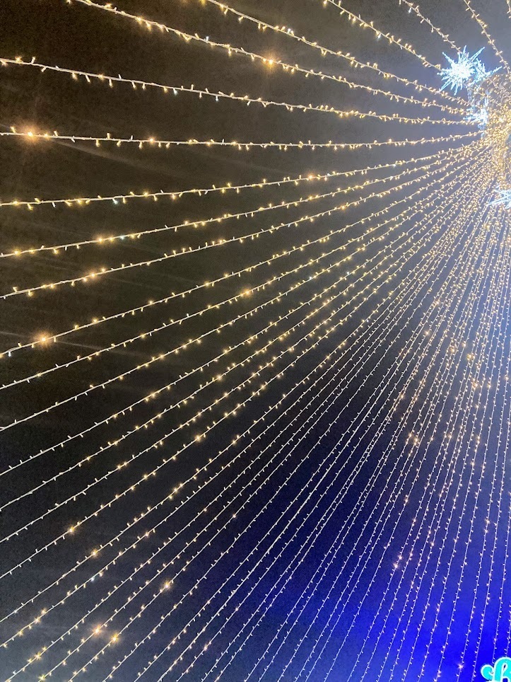 Новогодний Мурманск в фотографиях! Праздничные украшения, ёлки, инсталляции. Для новогоднего настроения!