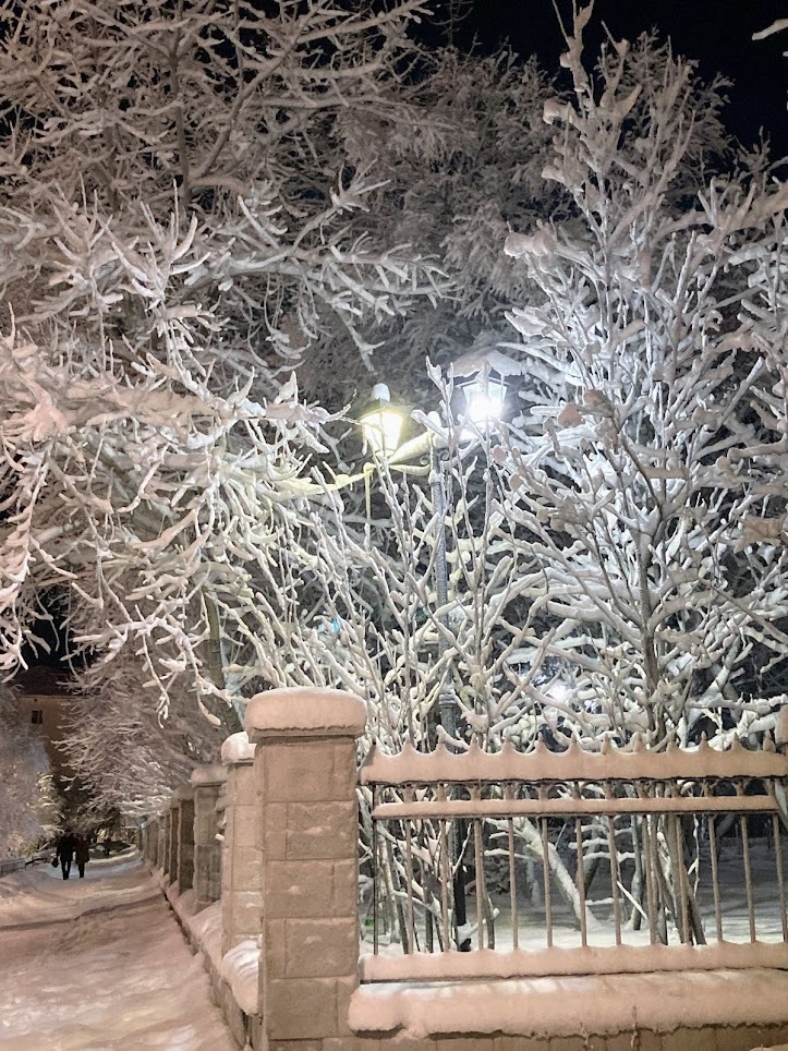 Новогодний Мурманск в фотографиях! Праздничные украшения, ёлки, инсталляции. Для новогоднего настроения!