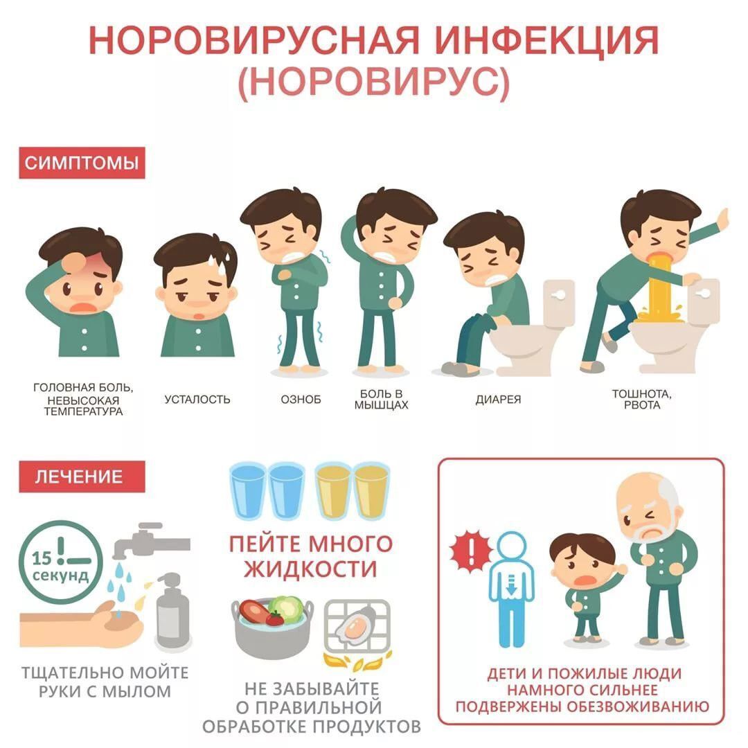 Вспышки норовируса растут этой зимой. Как избежать инфекции.
