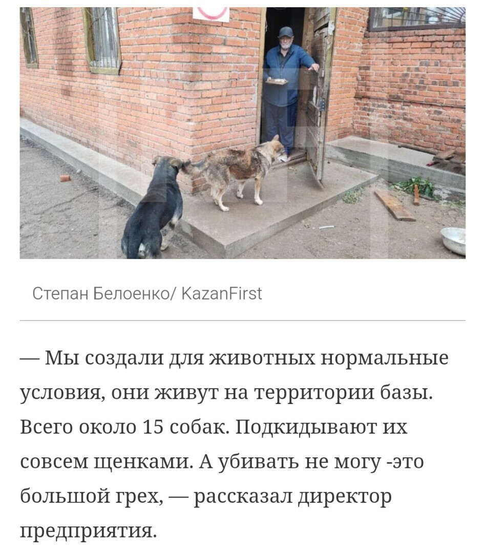 Будет ли поставлена точка в деле о трагической смерти женщины