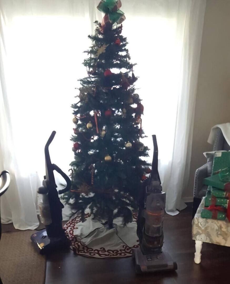 Как мы защищаем елку от домашних питомцем