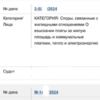 E9906852-909D-4AEE-86FF-6F9218DCE051.jpeg