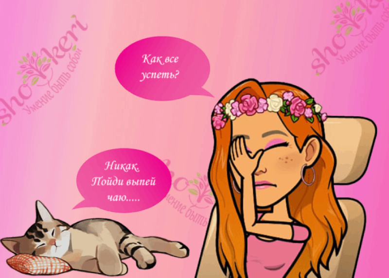 Почему с кошками никогда не бывает скучно