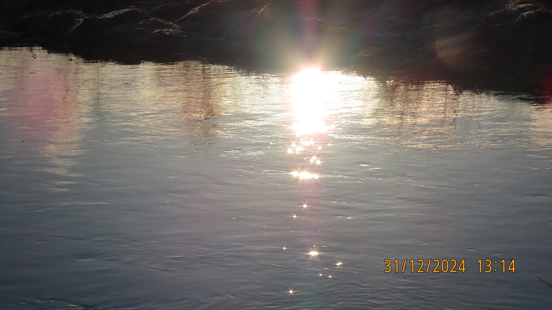 Новый Год к нам мчится / Фотографии.