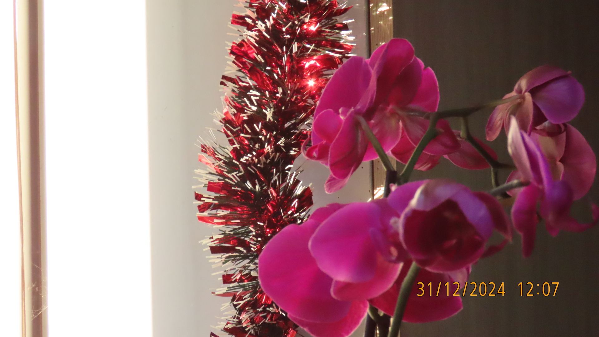 Новый Год к нам мчится / Фотографии.