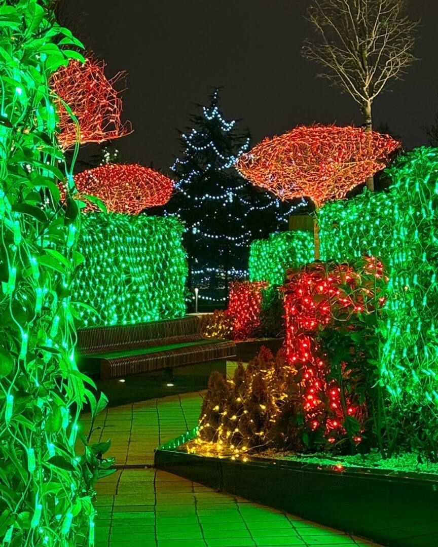 Как прекрасно отдохнуть в горах на Новый год