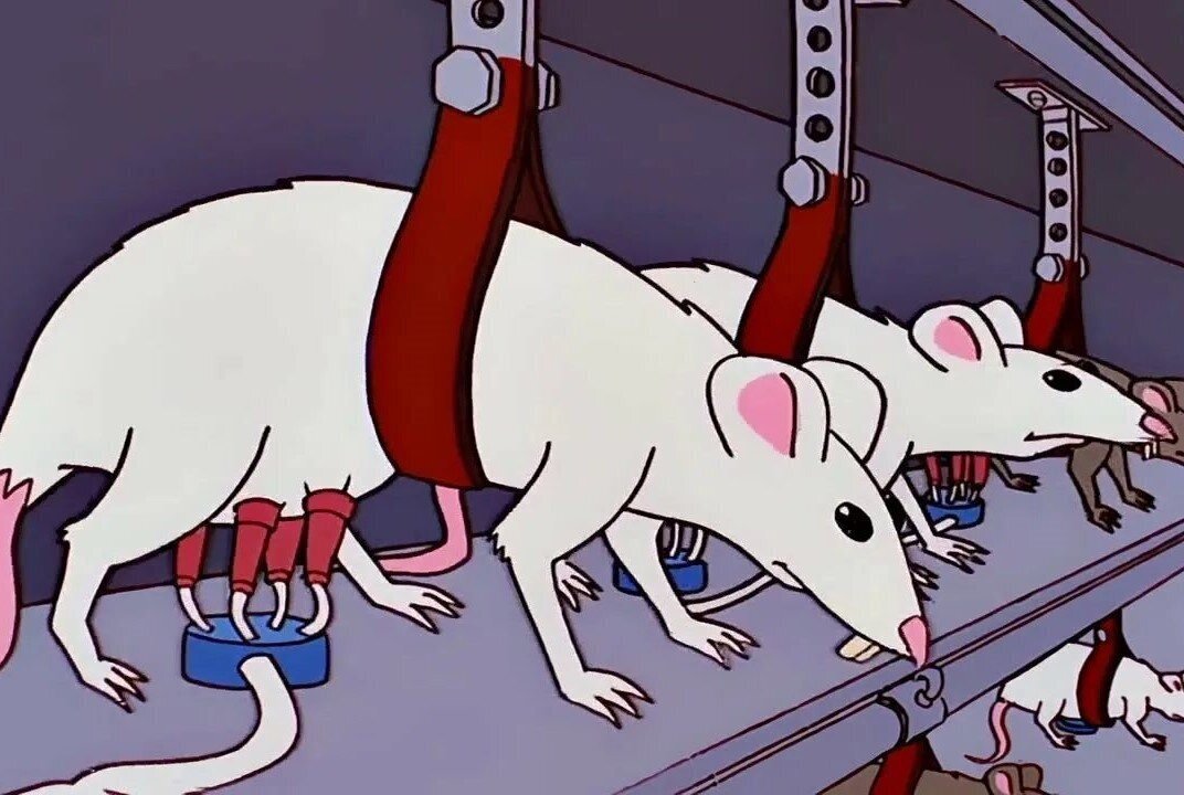 Мы сошли с ума? Два миллиона за литр мышиного молока!