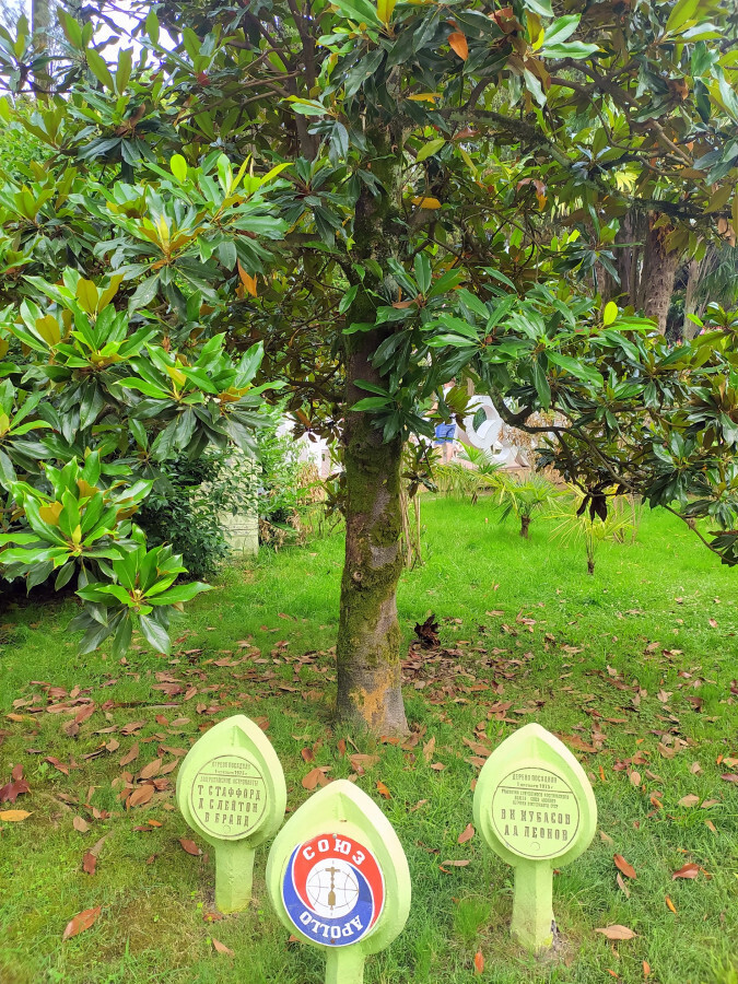 Если соберетесь в Сочи, то загляните в парк Ривьера, особенно если скучаете по временам СССР))