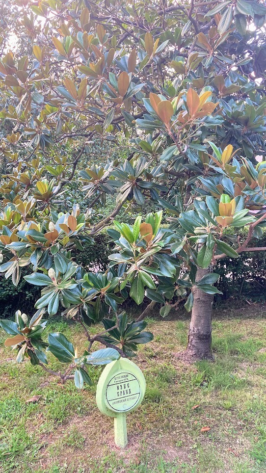 Если соберетесь в Сочи, то загляните в парк Ривьера, особенно если скучаете по временам СССР))