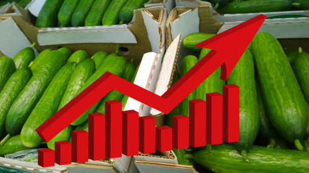 Более 5000 предостережений против роста цен на продукты питания вынесли прокуроры в 2024 году