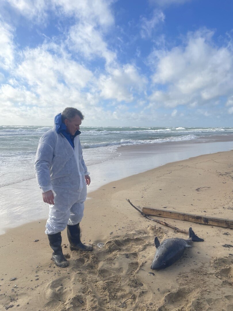 Верховенство законов природы