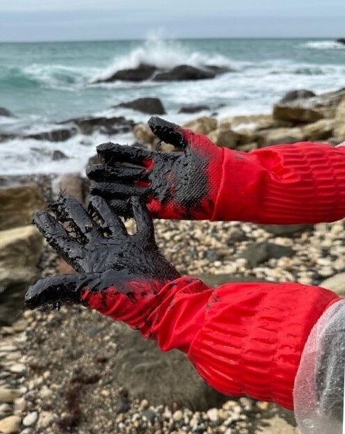 Ялта,Севастополь,Евпатория в мазуте.Не понятно, а отвечать за это кто-любо будет ?