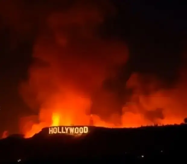 Пожары в Америке – кто виноват