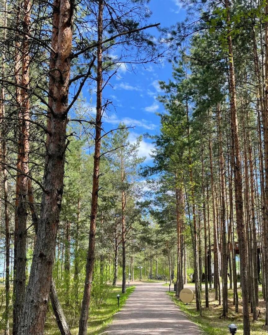 Как правильно выбирать места для отдыха: советы и рекомендации!!!