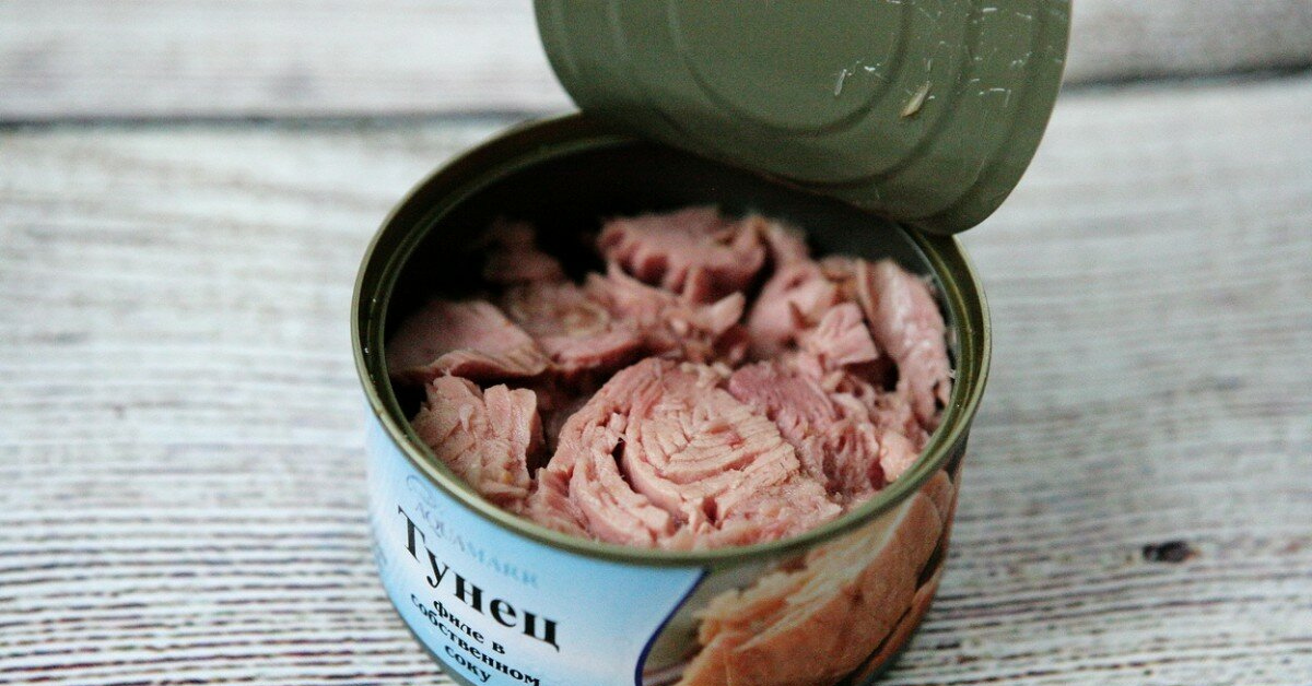 Как обеспечить себя на всю жизнь? Поймать тунца и продать за  млн!