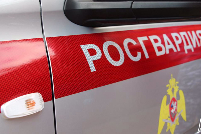 Росгвардейцы Башкортостана задержали подозреваемого в угоне