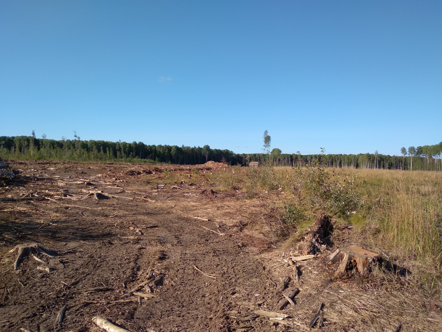 Почему мелеют и исчезают реки???