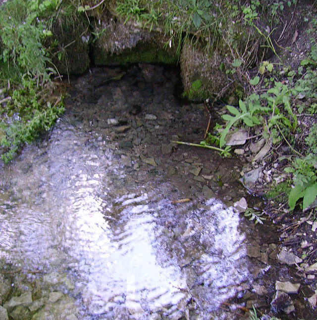 Почему мелеют и исчезают реки???