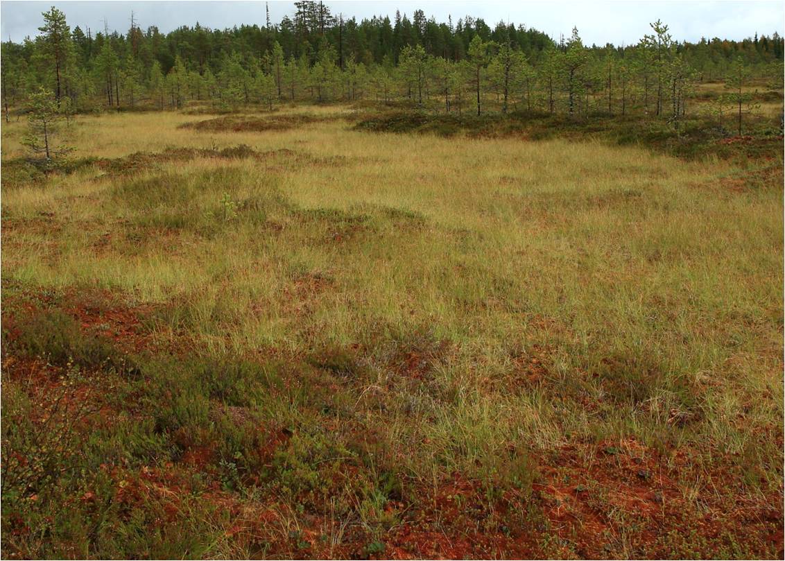 Почему мелеют и исчезают реки???