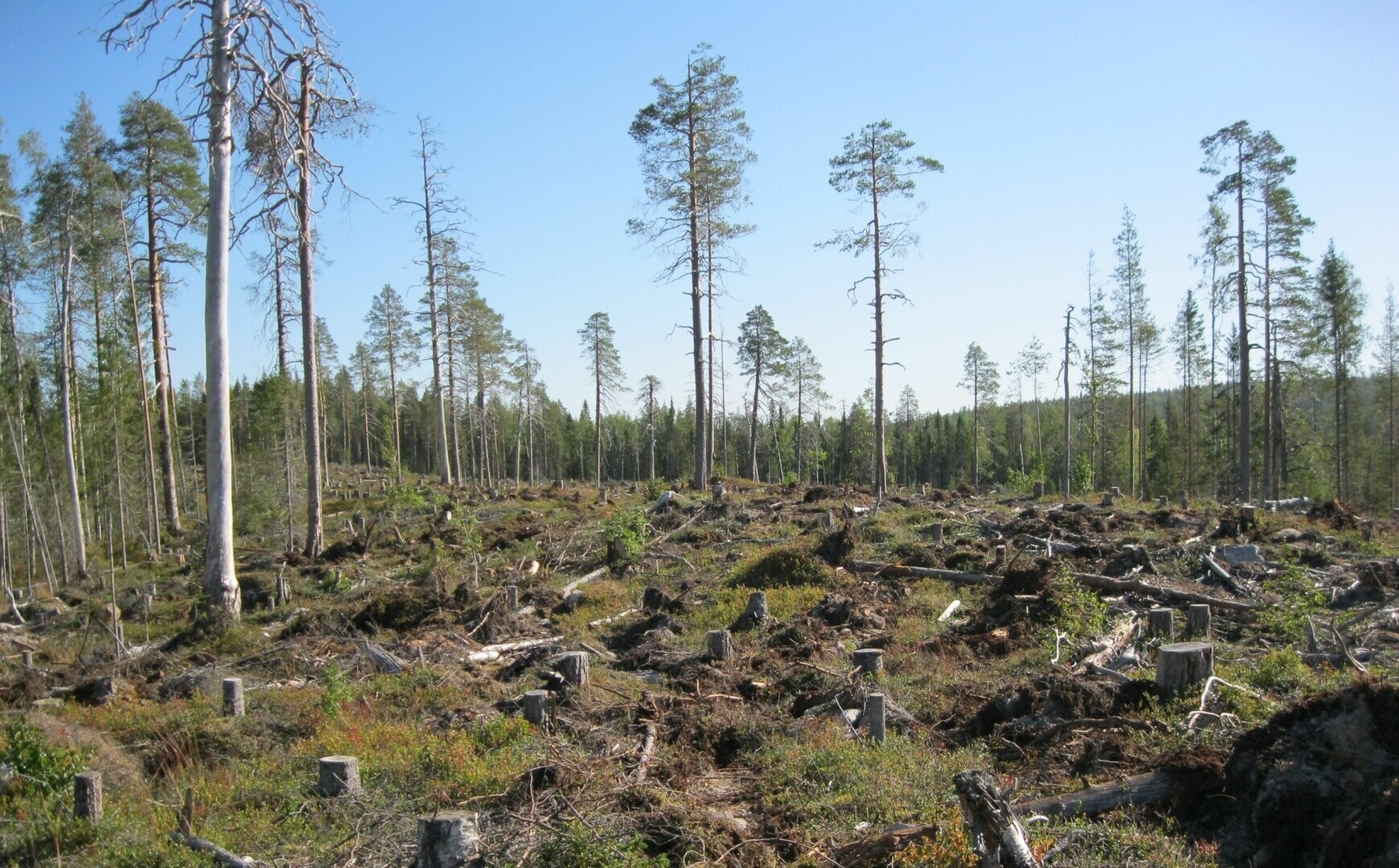 Почему мелеют и исчезают реки???