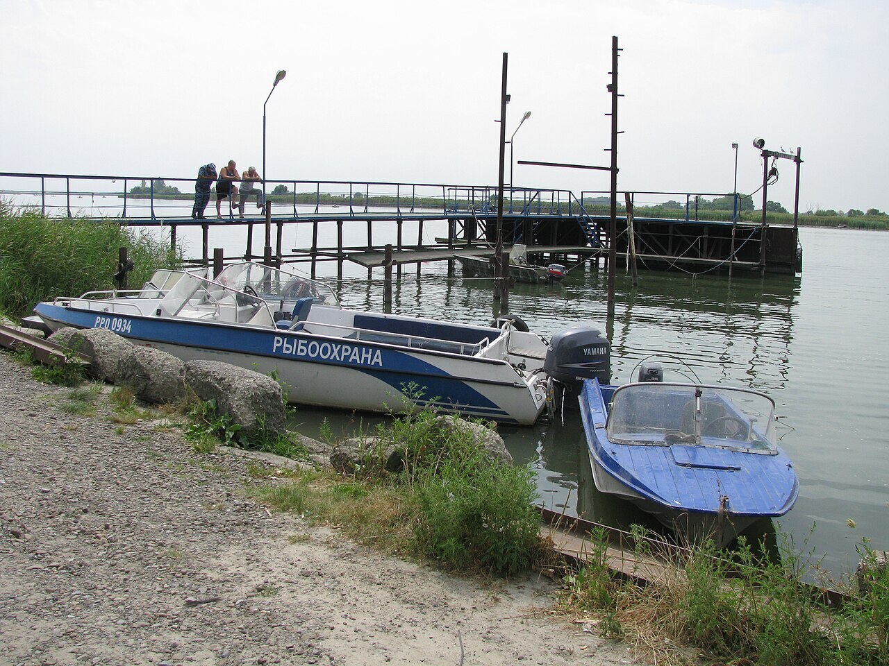 Вот идет Альбинка! У нее кабинка! Рифмоплетство.