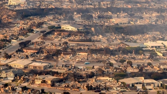 YouTube и Google пожертвовали 15 миллионов долларов на помощь в ликвидации последствий лесных пожаров в Лос-Анджелесе