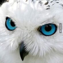 Александр, г. Мурманск