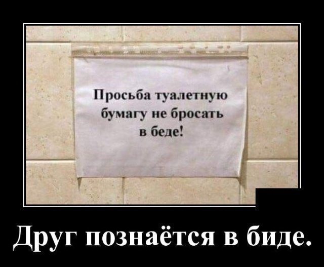 А друг познаётся не в беде