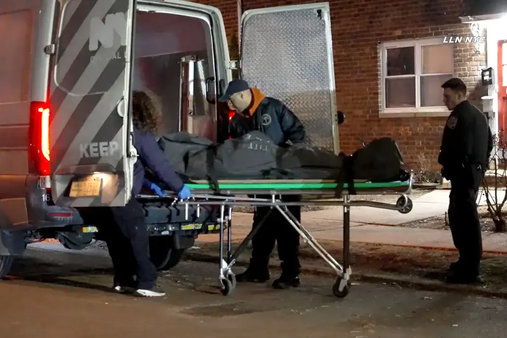 Женщина из Нью-Йорка, обвиняемая в убийстве, использовала трубу и пыталась расчленить безжизненное тело жертвы, прежде чем спрятать его под кроватью: