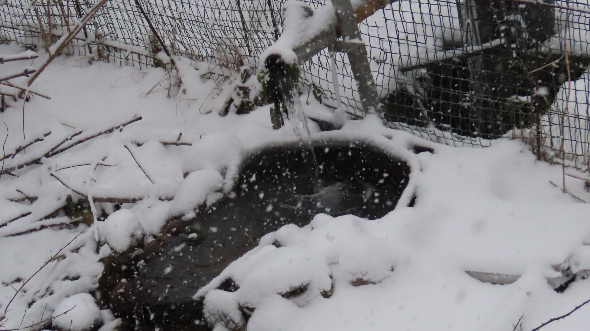 Крещение /Вне конкурсов/