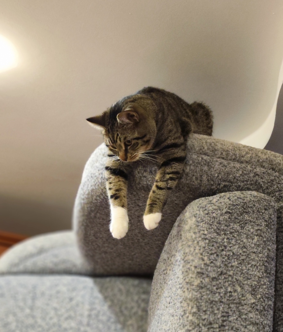 «Замедляемся», или Новый тренд, который поможет обрести счастье.