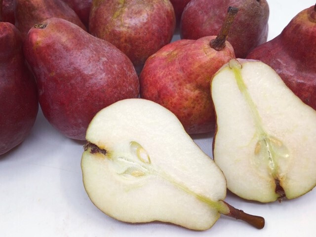 Готовь планы посадки зимой, а саженцы высаживай весной! Часть первая: Груши.