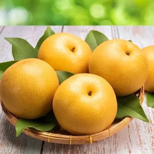 Готовь планы посадки зимой, а саженцы высаживай весной! Часть первая: Груши.