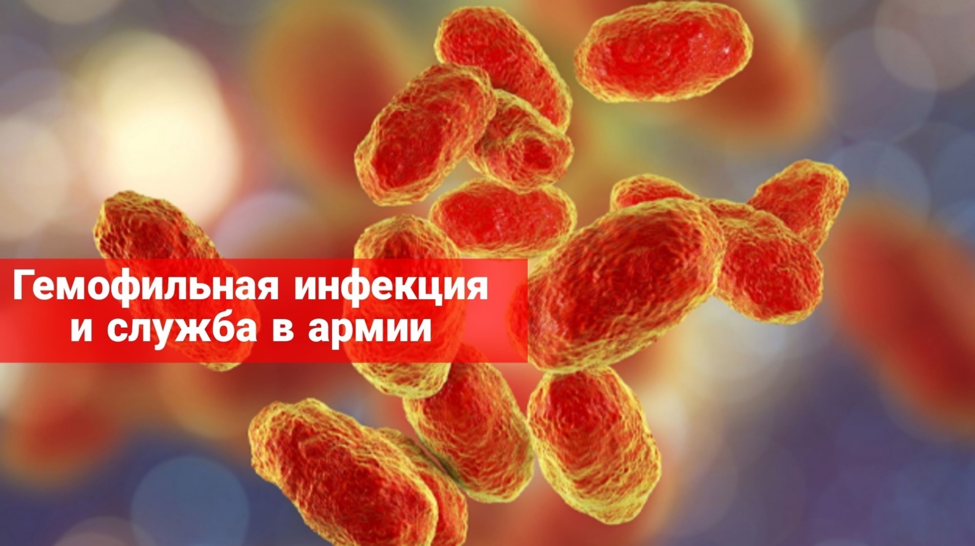 Гемофильная инфекция и служба в армии