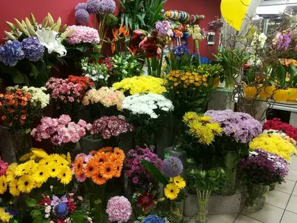 Ошибки при покупке цветов: как их избежать и сделать правильный выбор