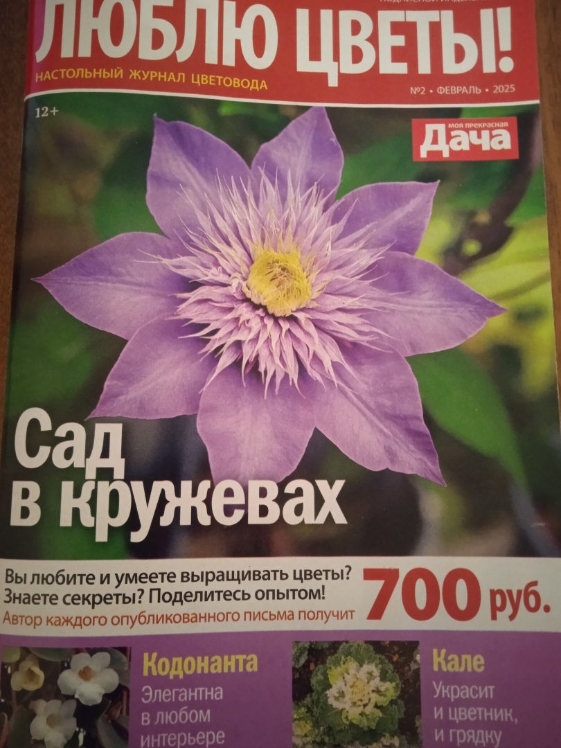 «Хочу на обложку!» – мечты сбываются! Наконец-то я попала на страницы любимого журнала