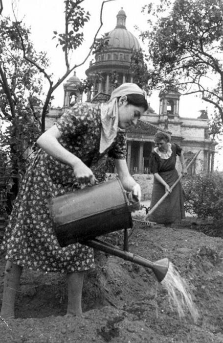 Блокада Ленинграда: подвиг города-героя