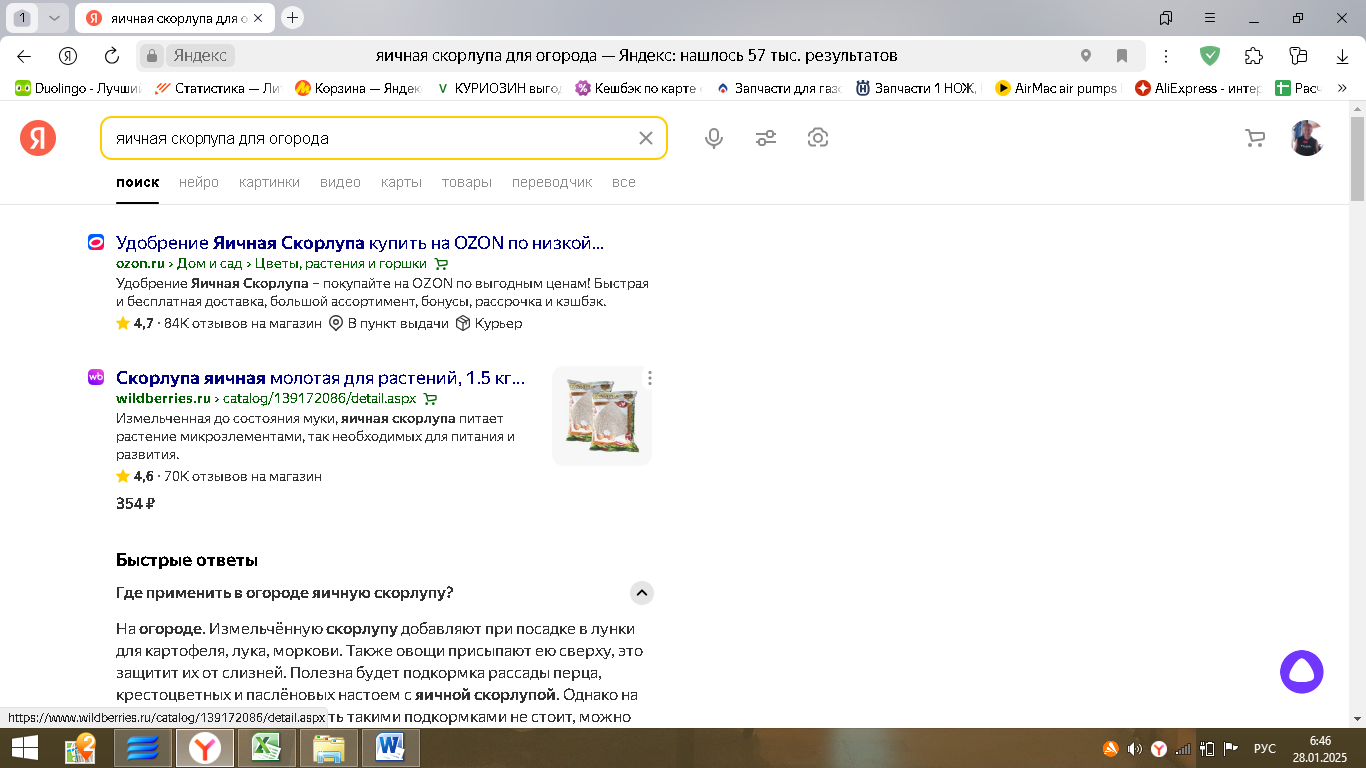 Запахло весной: семена и яичная скорлупа готовятся к десанту на дачу
