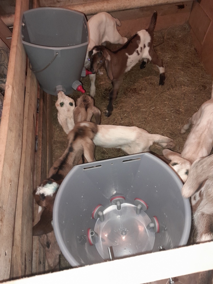 ...соси, соси давай. Ты девочка уже большая...