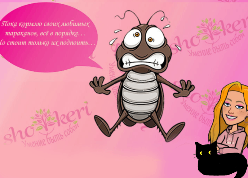 Что делать, если нет уверенности в своих собственных силах?