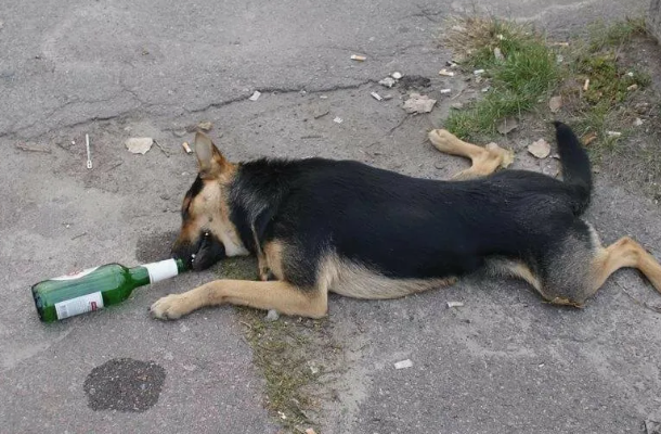 Не состоявшееся жильё.