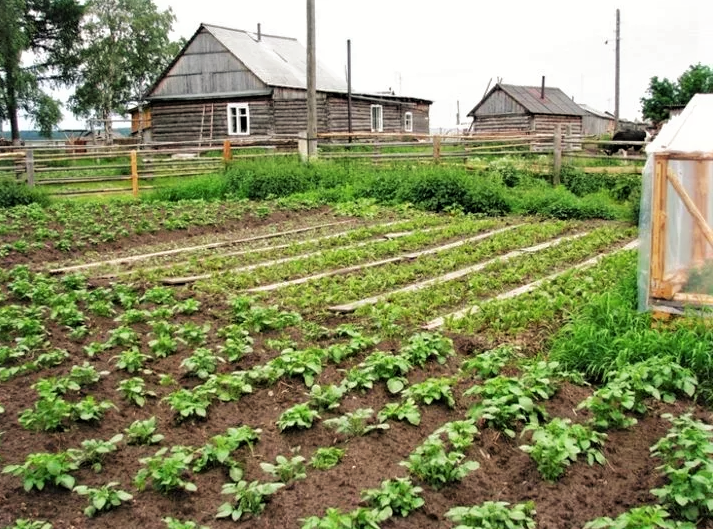 7 простых способов преобразить ваш дачный участок без больших затрат