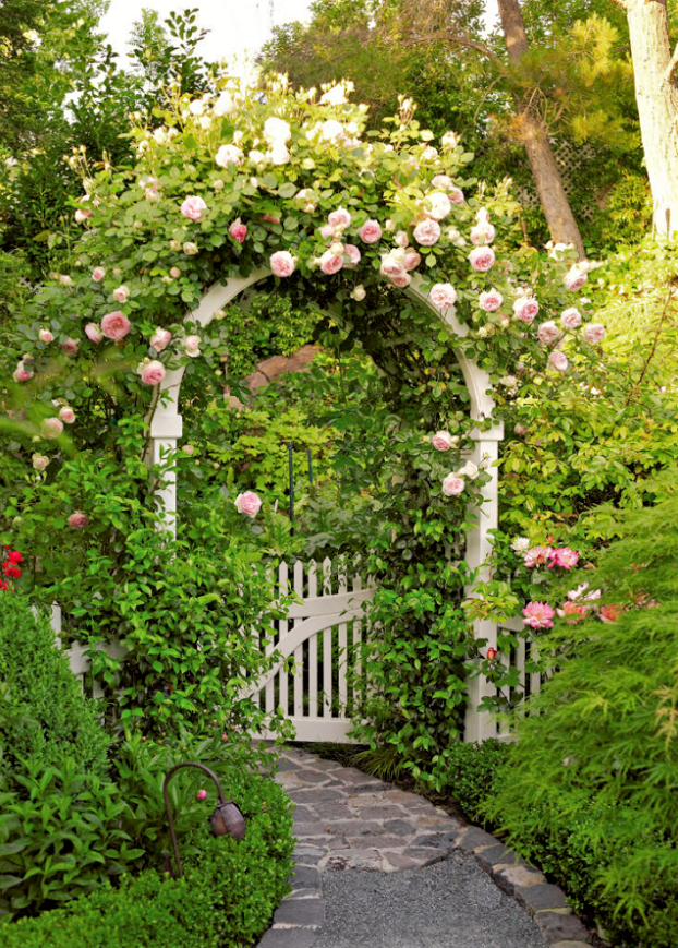 7 простых способов преобразить ваш дачный участок без больших затрат