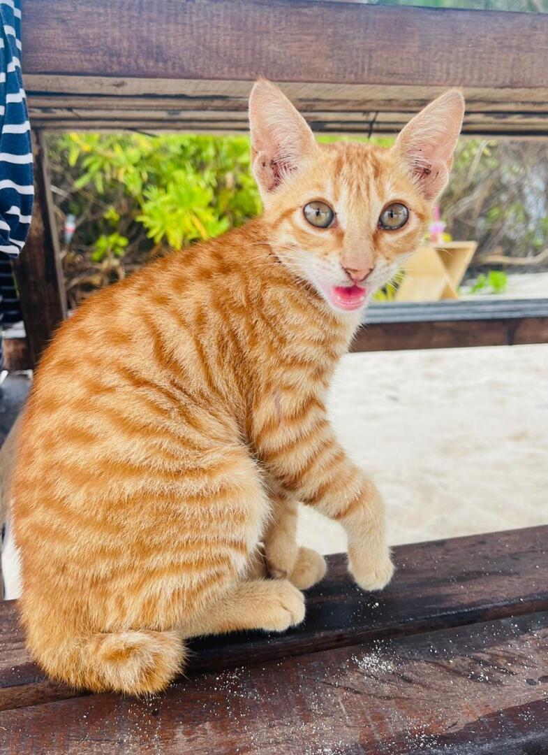 Возврат налогового вычета в 2025 году. Что изменилось.