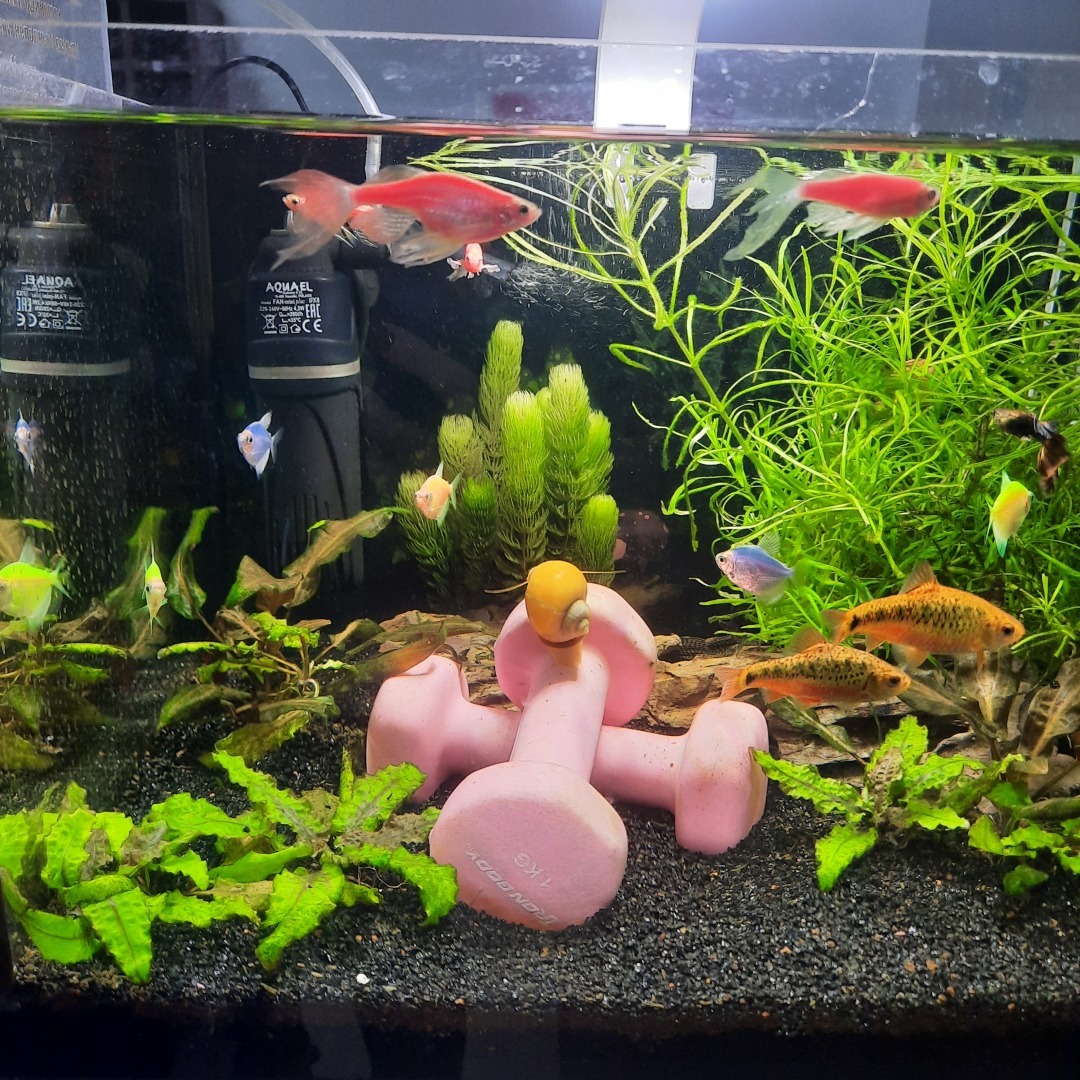 Возврат налогового вычета в 2025 году. Что изменилось.