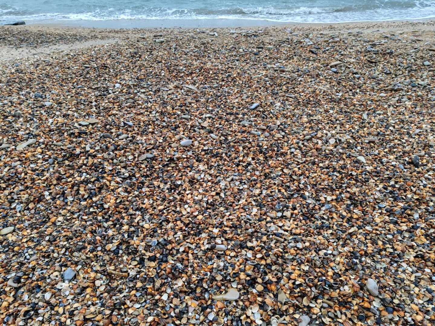 На пляжах Анапы обнаружили опасный канцероген! Но так ли это?