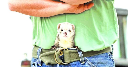 Самые странные виды спорта в мире