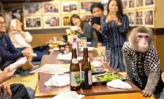 Самые странные рестораны мира